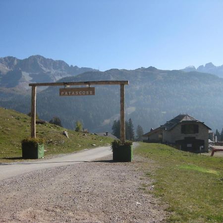 Chalet Francesca Patascoss Madonna di Campiglio Exterior photo