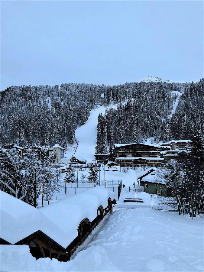 Chalet Francesca Patascoss Madonna di Campiglio Exterior photo